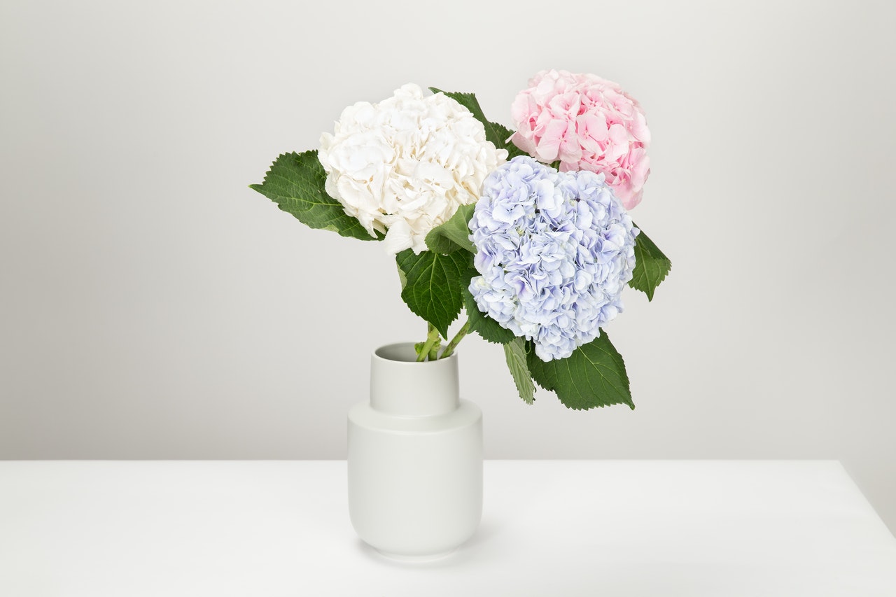 vase med flotte blomster i på bord